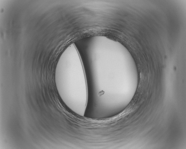 X0000059800048200510210908