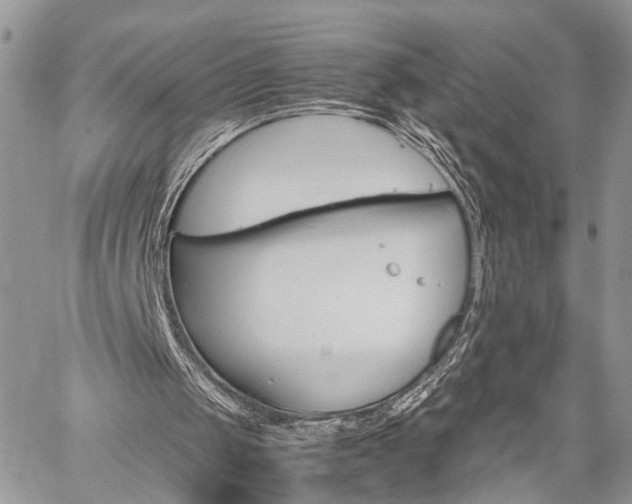 X0000059800049200510210907