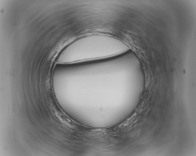 X0000059800050200510210907