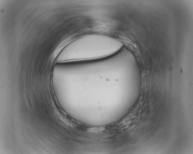 X0000059800051200510210907