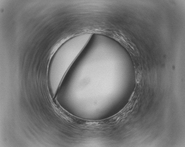 X0000059800052200510210907