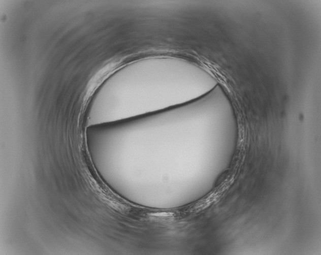 X0000059800053200510210907