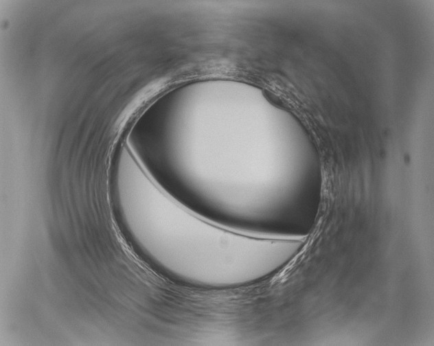 X0000059800054200510210907