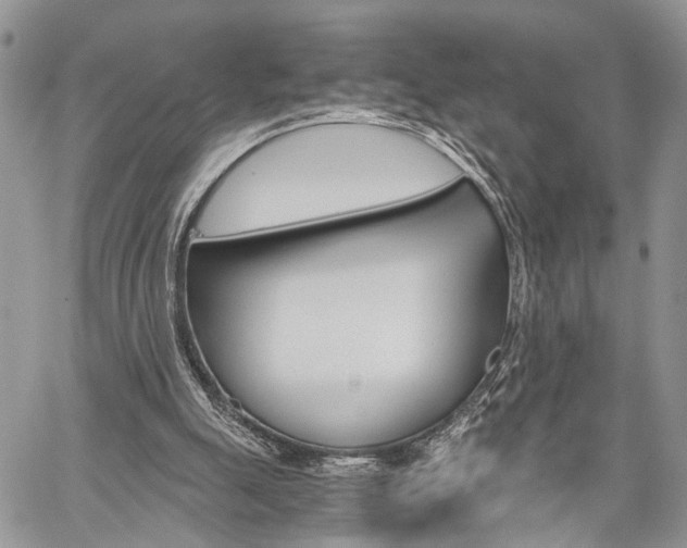 X0000059800055200510210907