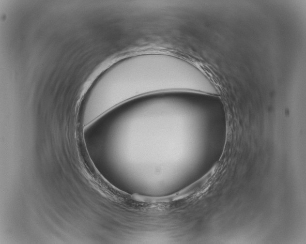 X0000059800056200510210907