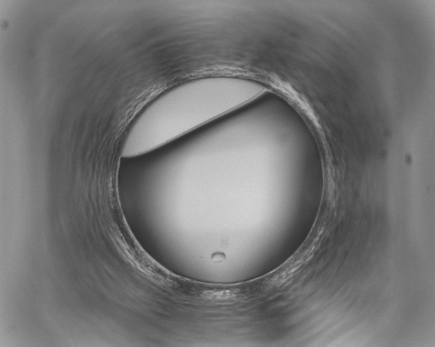 X0000059800057200510210907