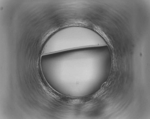 X0000059800058200510210907