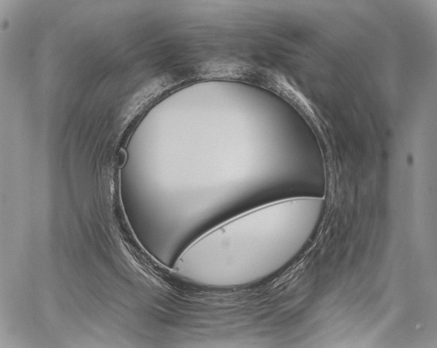 X0000059800059200510210907