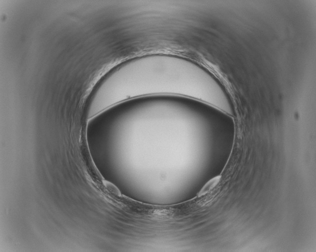 X0000059800060200510210907