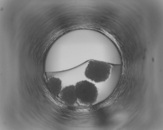 X0000059800061200510210907