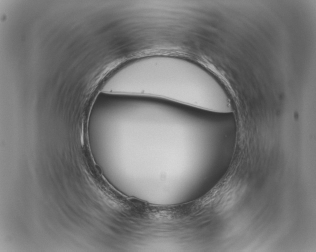 X0000059800062200510210907