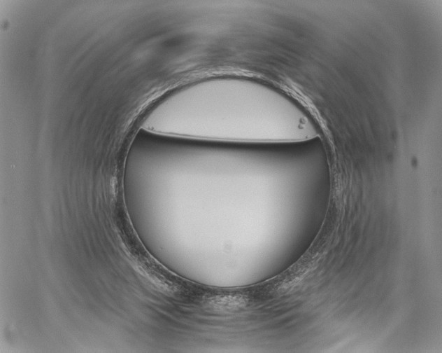 X0000059800063200510210907