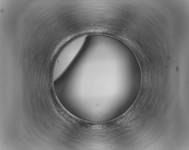 X0000059800064200510210907