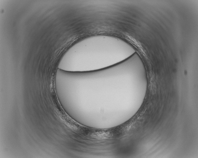 X0000059800065200510210907