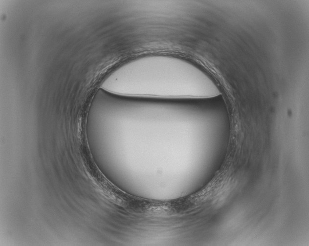 X0000059800066200510210907