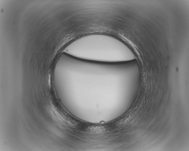 X0000059800067200510210907