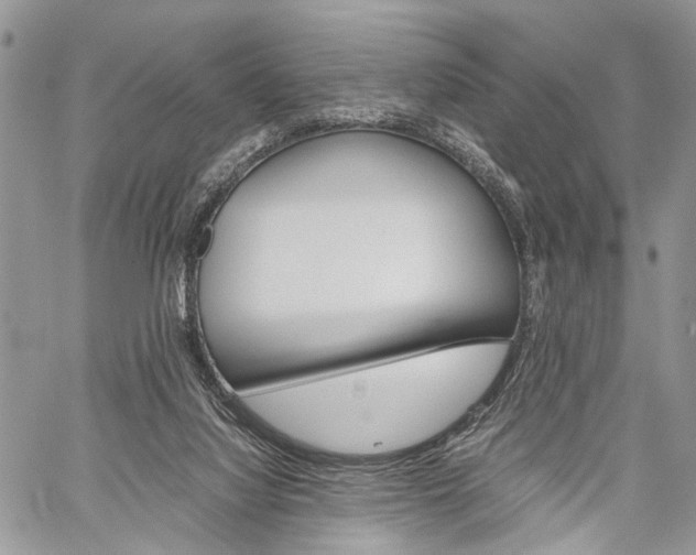 X0000059800068200510210907