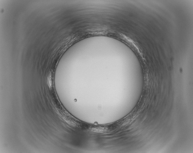 X0000059800069200510210907