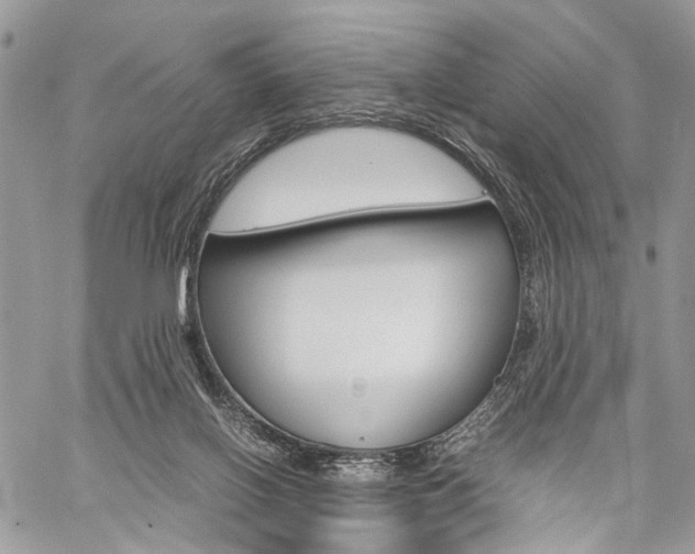 X0000059800070200510210907