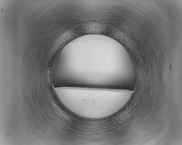 X0000059800071200510210907