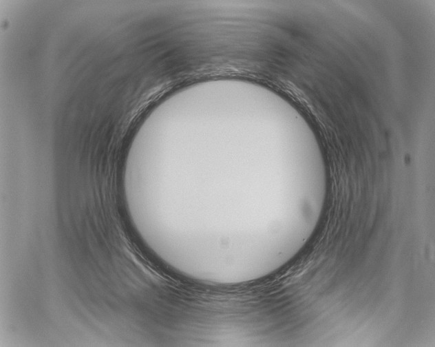 X0000059800072200510210907