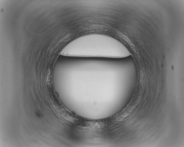 X0000059800073200510210907