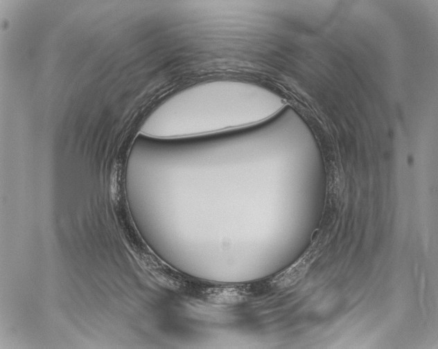 X0000059800074200510210907