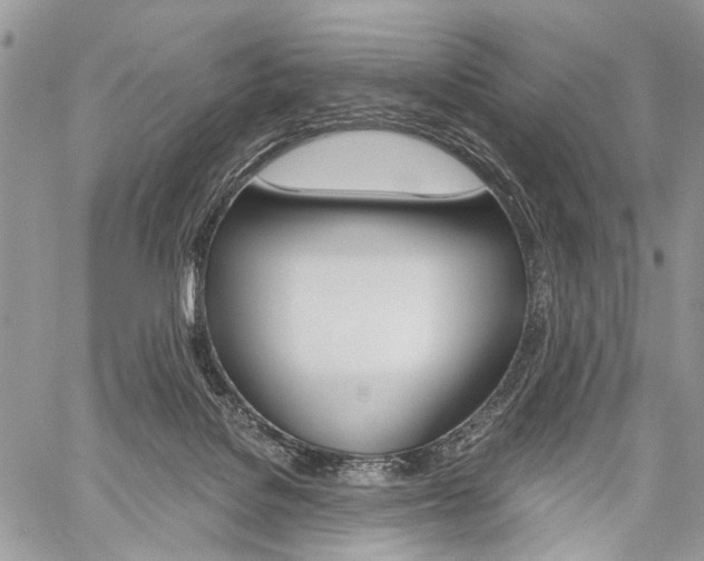 X0000059800076200510210907