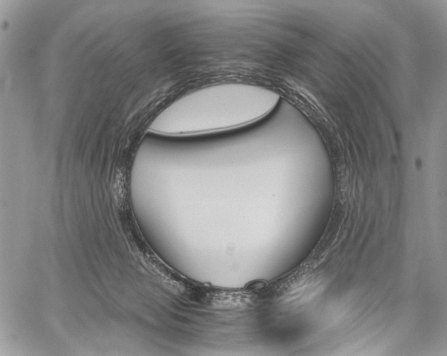 X0000059800077200510210907