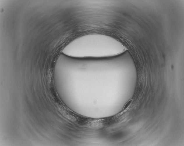 X0000059800078200510210907