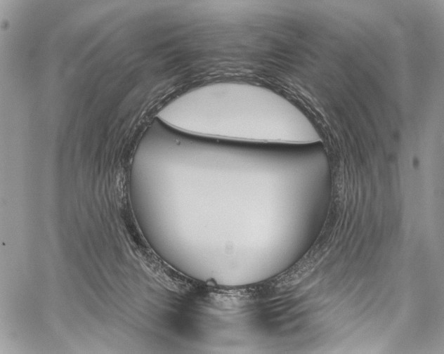 X0000059800079200510210907