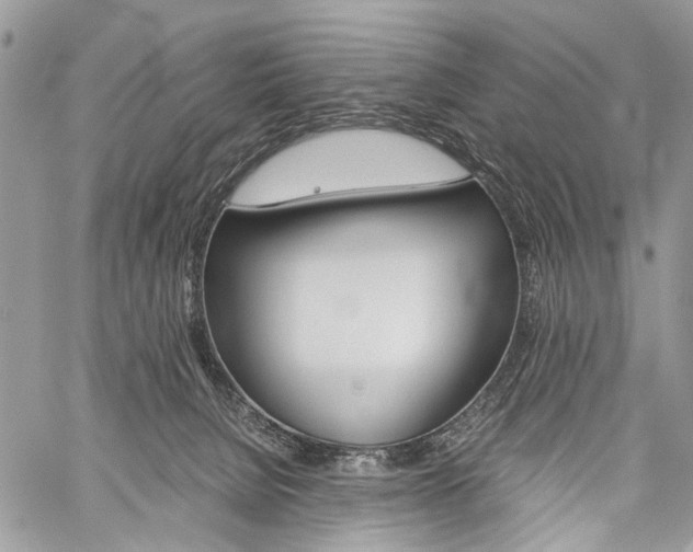 X0000059800080200510210907