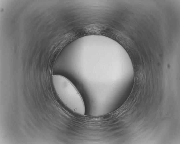 X0000059800081200510210907