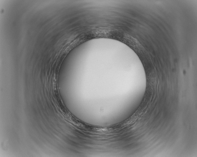 X0000059800083200510210907