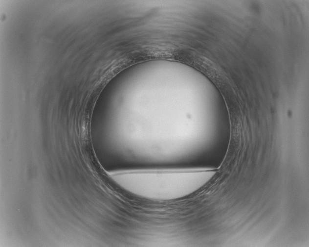 X0000059800084200510210907