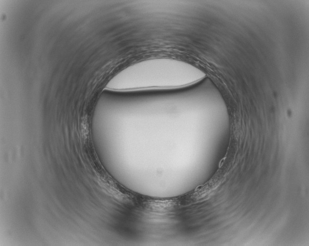 X0000059800085200510210907