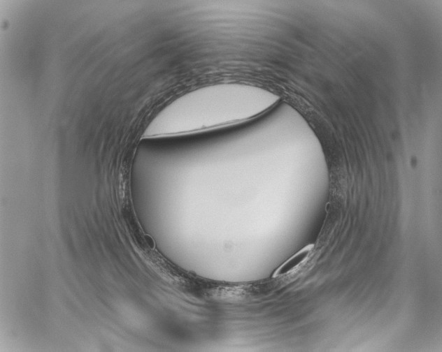 X0000059800086200510210907