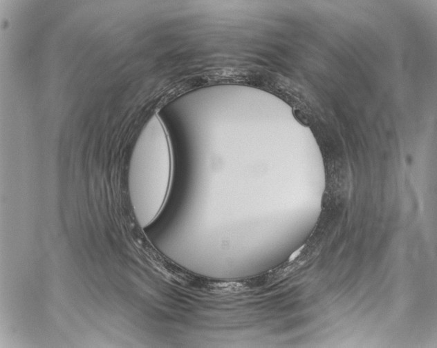 X0000059800087200510210907