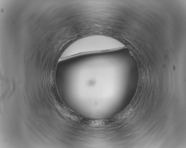 X0000059800088200510210907