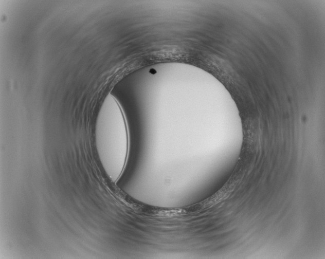 X0000059800089200510210908