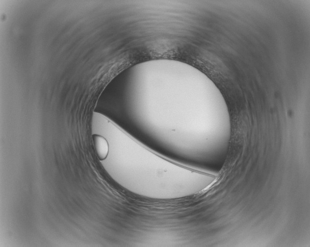 X0000059800090200510210908