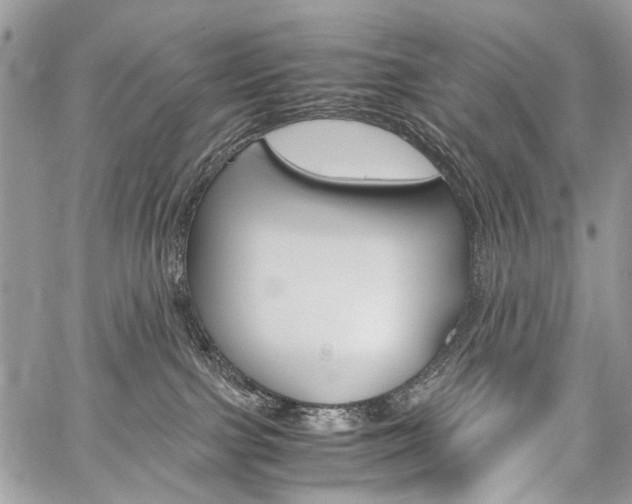 X0000059800091200510210908