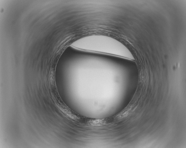 X0000059800092200510210908