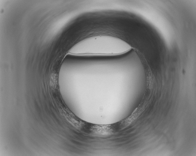 X0000059800093200510210908