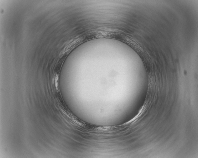 X0000059800094200510210908