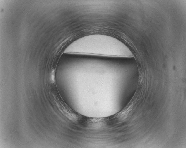 X0000059800095200510210908