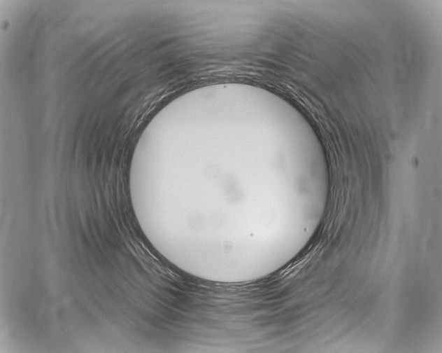 X0000059800096200510210908