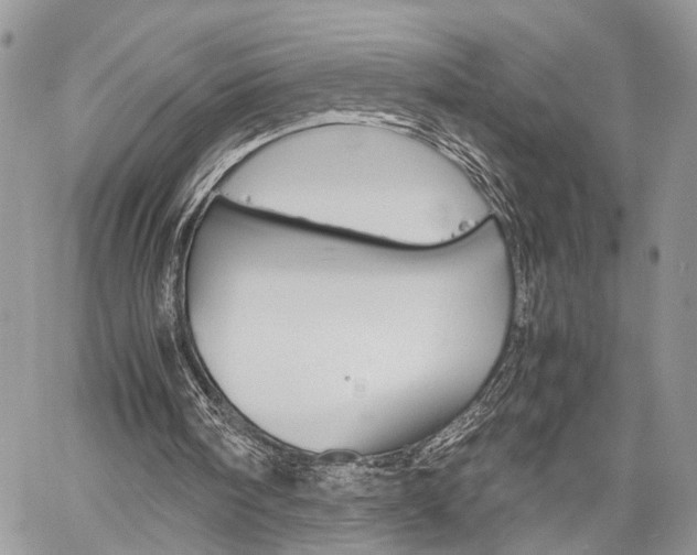 X0000059800098200510210907