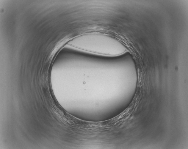 X0000059800099200510210907