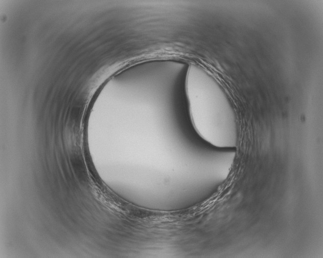 X0000059800100200510210907